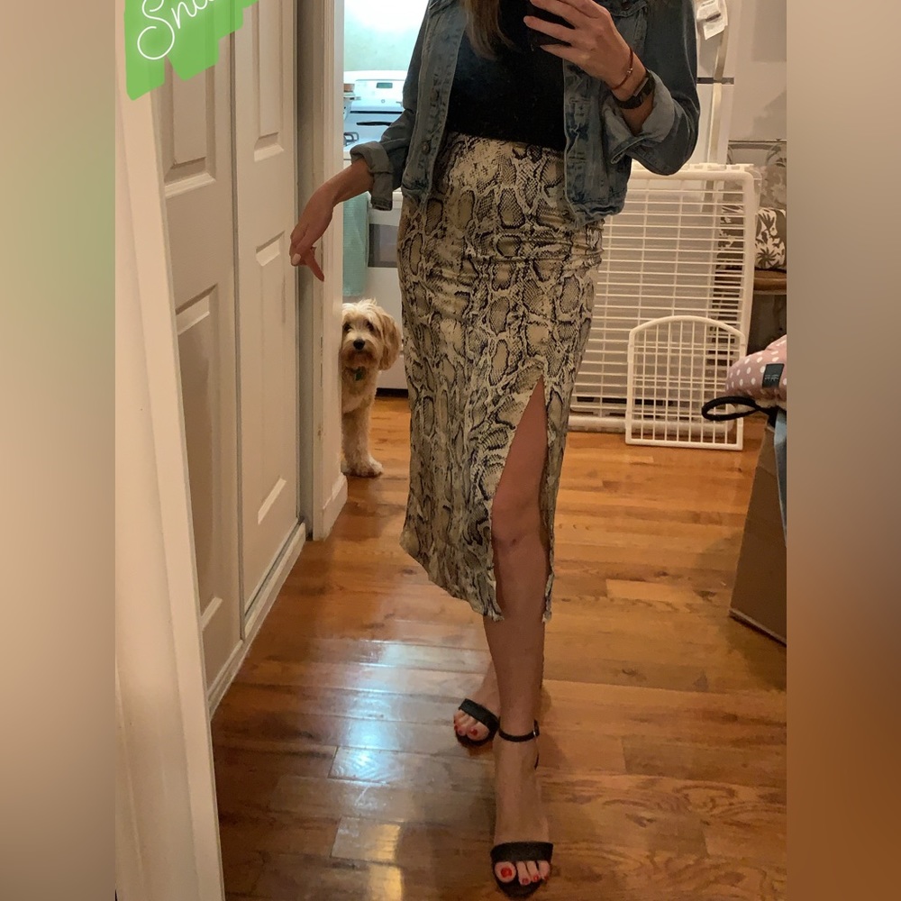BB DAKOTA SNAKE SKIN SKIRT